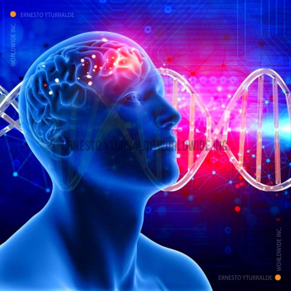 Aprendizaje Experiencial - Neurociencias